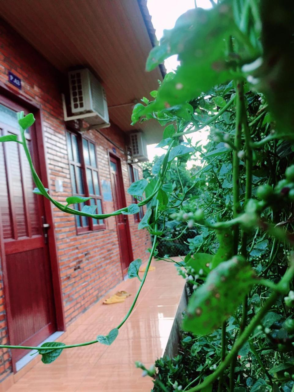 Nam Cat Tien Homestay Exterior photo